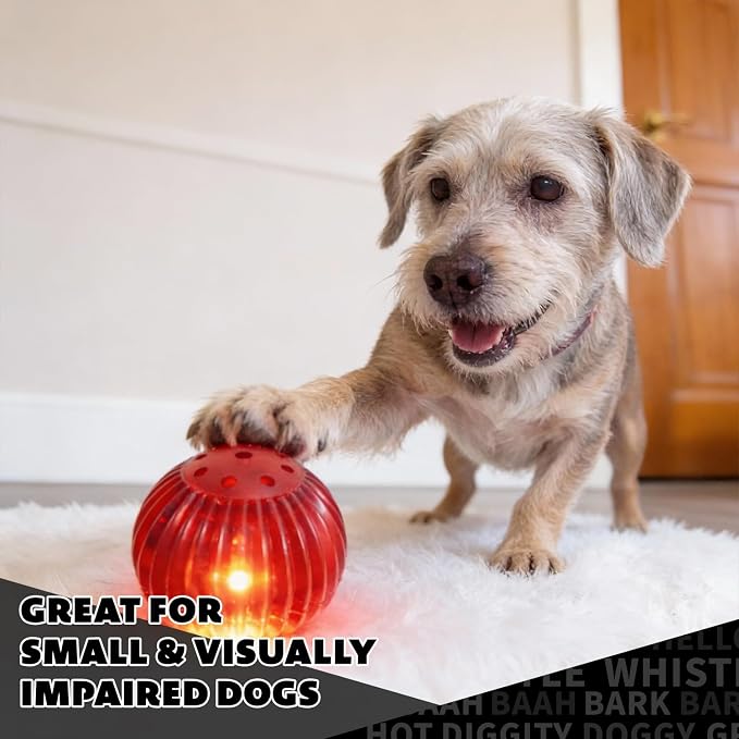 Pet Qwerks Blinky Babble Ball - Image 7