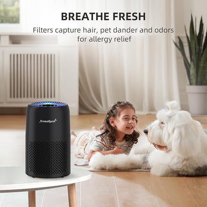 Air Purifiers for Home Bedroom, AromaRoom H13 HEPA Air Purifier Filter for - Image 9