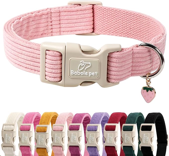 Cute Corduroy Dog Collar by Babolepet