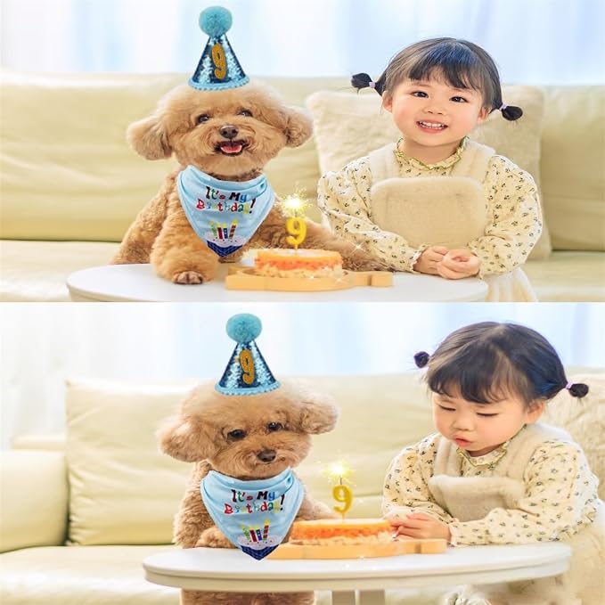 Pet Birthday Party Set, Dogs Bandana and Dog Birthday Hat - Image 7