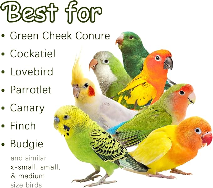 5-Pack Natural Flower Bird Toys – Foraging & Chewing Toys - Image 6