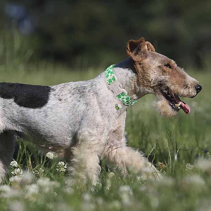 Unique style paws St. Patrick's Dog Collar Plastic Buckle Puppy Collar - Image 5