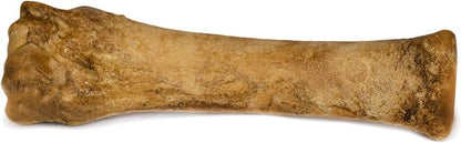 Nylabone Healthy Edibles Natural Dog Chews, Long Lasting Bones - Image 9