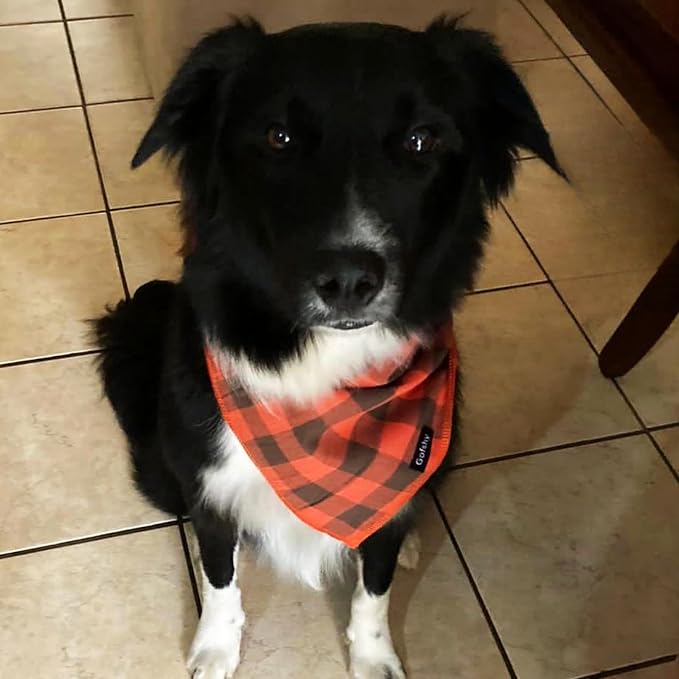 Dog Bandana Fall Small-Orange Brown Dog Scarf Buffalo Plaid Printing Adjustable - Image 5
