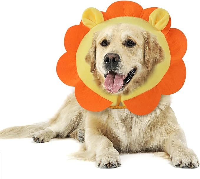 IEUUMLER Inflatable Recovery Dog Collar, Protective Donut Cone, Adjustable Soft by IEUUMLER