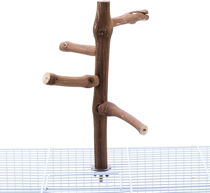 Bird Perch Stand Toy, Natural Grapevine Wood Parrot Perch Bird Cage Branch - Image 7