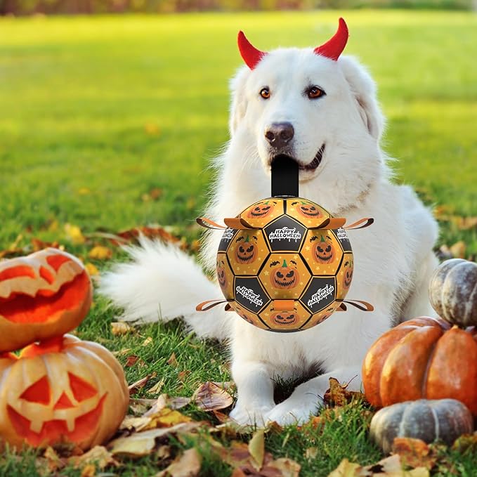 QDAN Halloween Dog Toys, Soccer Balls, Interactive Pet Toys, Puppy Dogs - Image 3