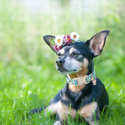 DOGWONG Easter Dog Collar, Cute Flower Bunny Eggs Dog Collar Pink Pet Collar - Image 5