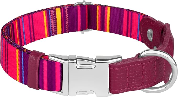 AirTag Dog Collar for Small Medium Large Breed - Image 8