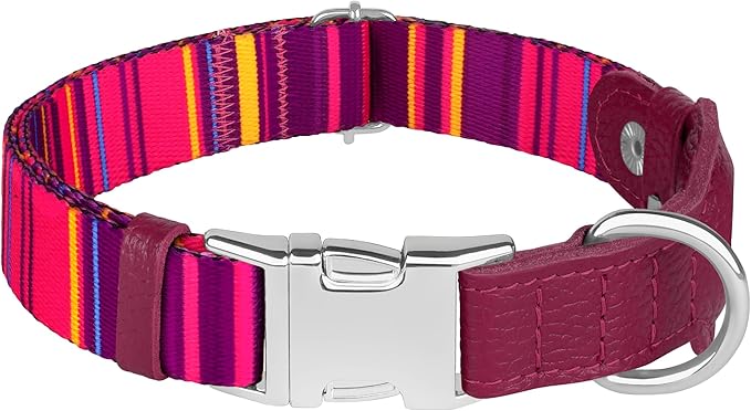 AirTag Dog Collar for Small Medium Large Breed - Image 8