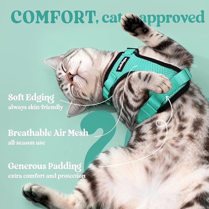 rabbitgoo Cat Harness and Leash - Image 4