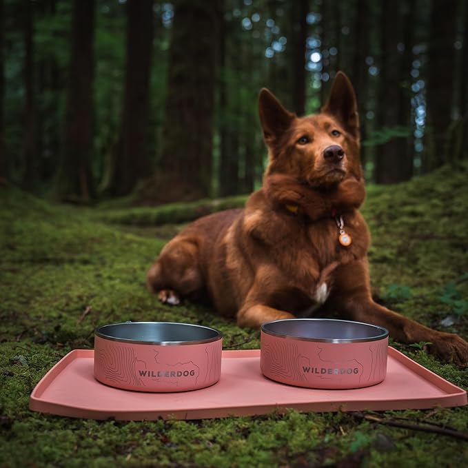 Wilderdog Silicone Pet Placemat Made - Image 7