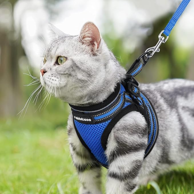 rabbitgoo Cat Harness and Leash Set - Image 8