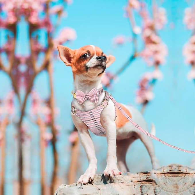 Beirui Cute Extra Small Dog Harness Collar and Leash Set - Image 4