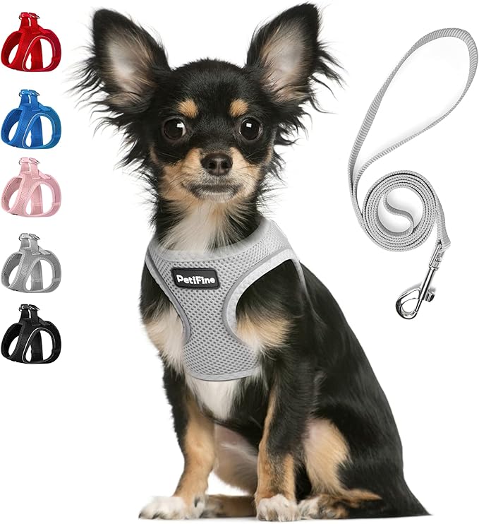 PetiFine Step in Small Dog Harness and Leash Set, Breathable All Weather Air by PetiFine