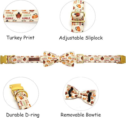 Adjustable Dog Collar for Small Dogs - Image 2