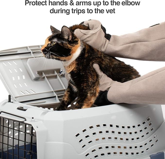 PetFusion Multipurpose Pet Grooming Gloves Great - Image 5