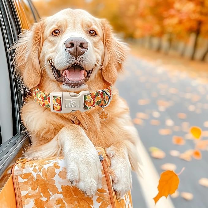 Fall Dog Collar Cute Autumn Leaves Puppy Collar - Image 5