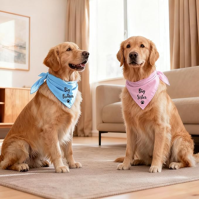 Big Sister and Big Brother Pet Dog Bandana, Triangle Scarf - Image 6