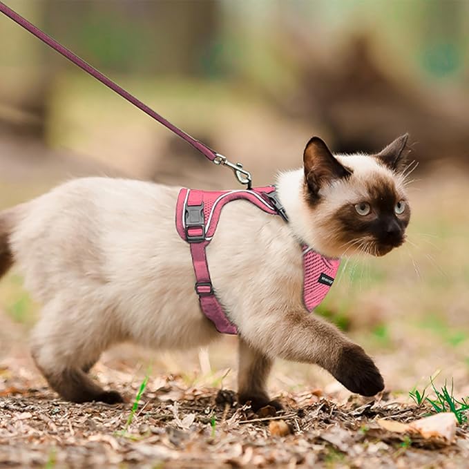 Cat Harness, Cat Harness and Leash Set, Soft and Breathable Vest - Image 5