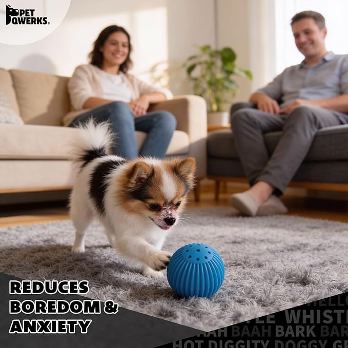 Pet Qwerks Talking Babble Ball - Image 6