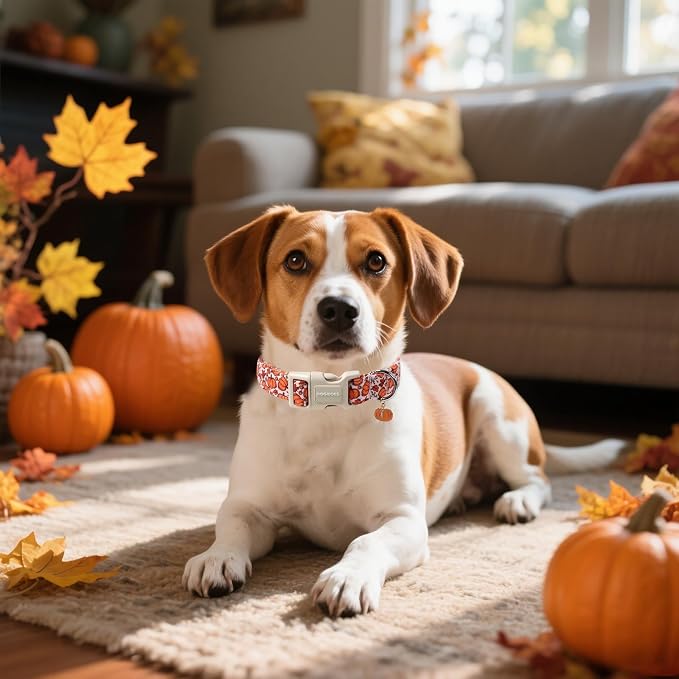 DOGWONG Pumpkin Dog Collar- Cute Pink Fall Dog Collars Adjustable Maple Fall - Image 4