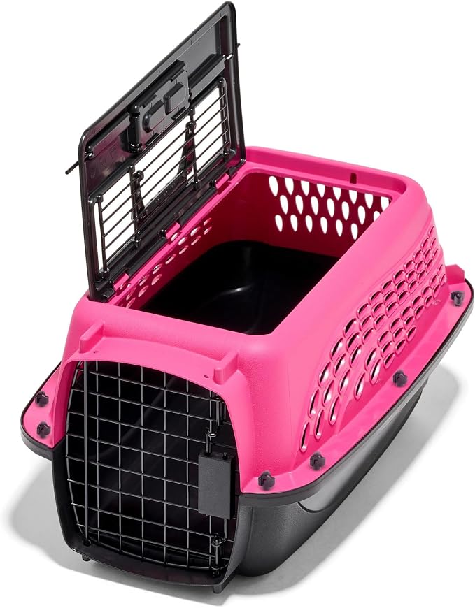 Petmate Dog Crates for Small Dogs & Cat Carriers, Two-Door Plastic Pet Kennel - Image 5