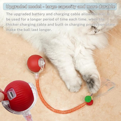 New Upgraded Cat Ball Toy - Image 7