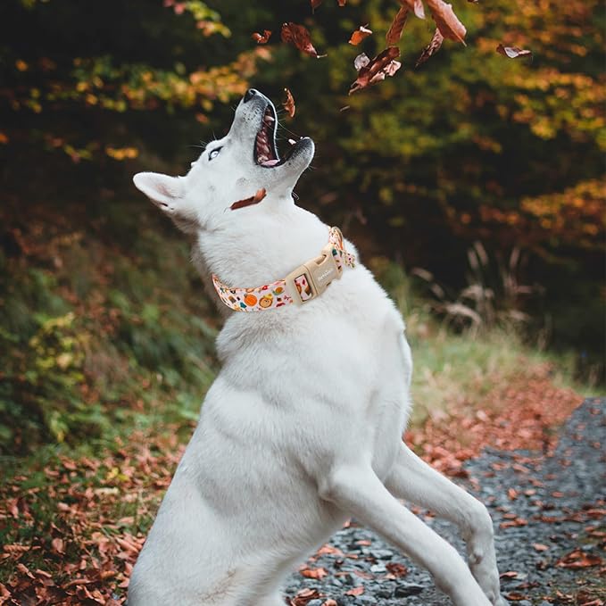 Spooky Halloween Dog Collar, Handmade Cotton - Image 5