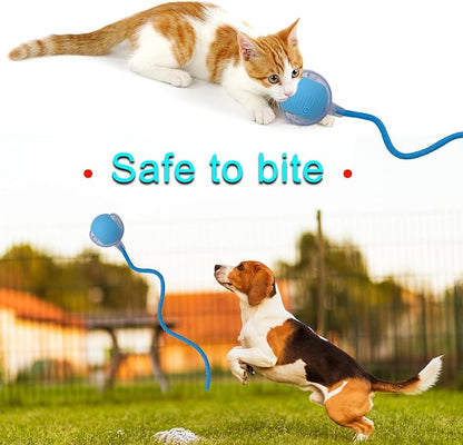 Interactive Cat Dog Toy Ball: Indoor Small Automatic Moving Smart Rolling Fun - Image 6