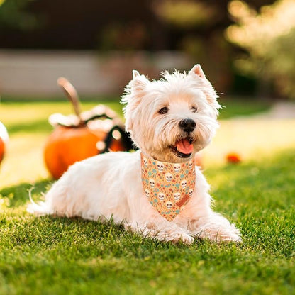 PTDECOR Halloween Dog Bandana, Skeleton Pumpkin Reversible Holiday Dog Scarf - Image 2