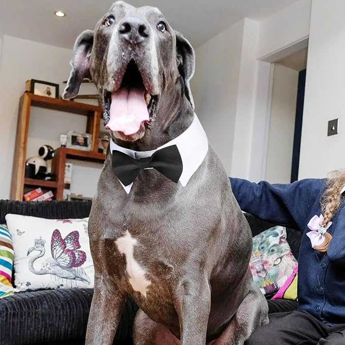 Segarty Dog Bow Tie for Neck Girths 16.5-21.2 in, Adjustable Bowtie Collar for - Image 6