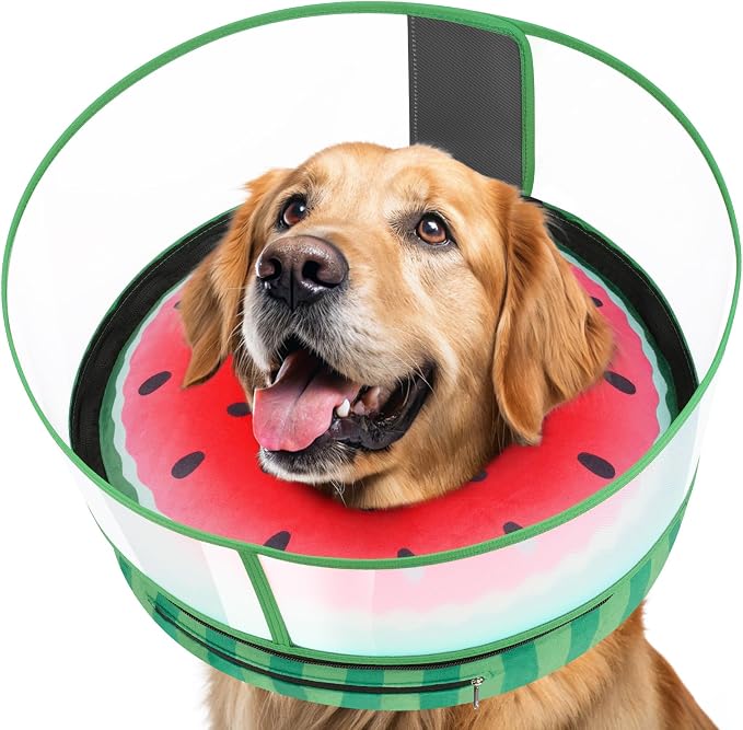 Inflatable Dog Cone with Anti-Licking Clear Shield, Protective Dog Donut Collar by Didopet