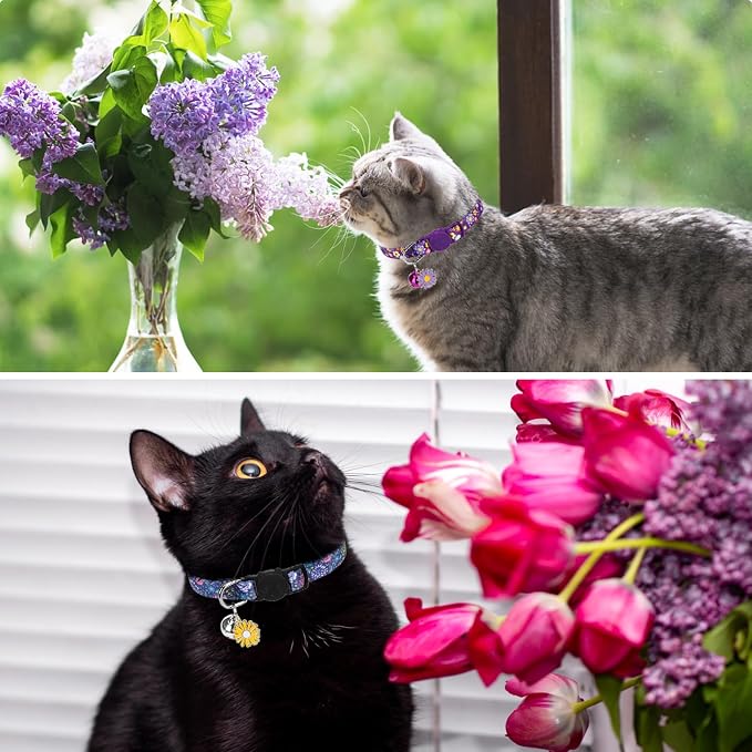 SCENEREAL Cute Cat Collars - Image 6