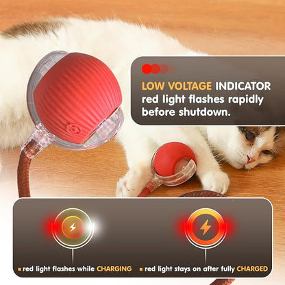 Rocfish Durable Interactive Cat Toys - Image 7