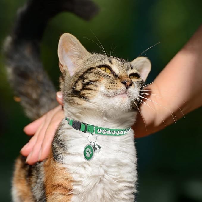 Leather Personalized Breakaway Cat Collar - Image 2