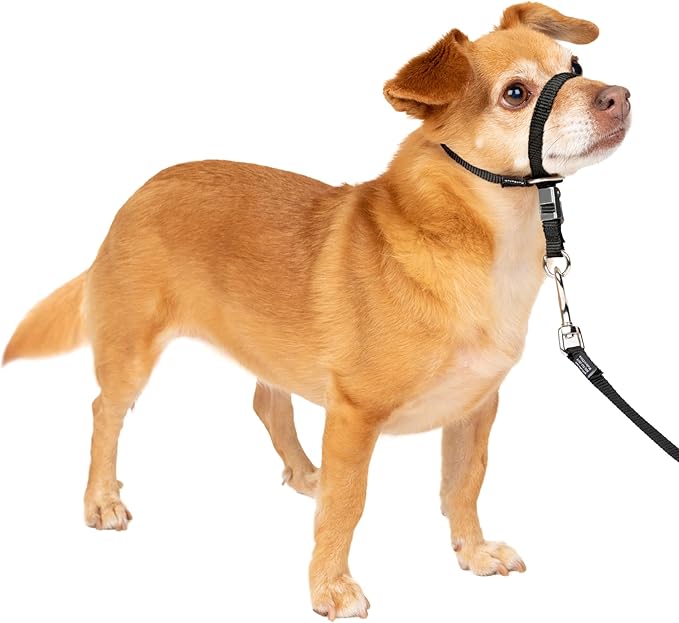 PetSafe Gentle Leader Headcollar No-Pull Dog Collar by PetSafe