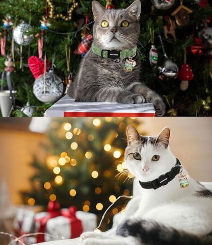 Cat Collar, 2 Pack Cat Collars Breakaway - Image 5