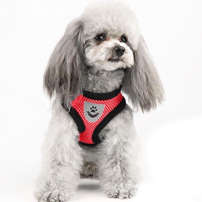 Shudyear Cat Harness and Leash, Adjustable Soft Mesh, Anti-Escape, Reflective - Image 6