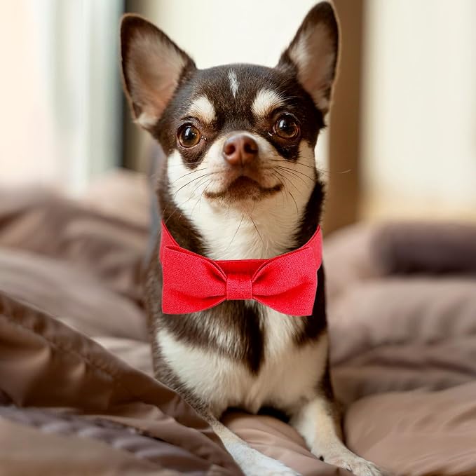 Segarty Dog Bow Ties for Small Medium Dogs Neck Girth 10.2-14.2in, Adjustable - Image 6