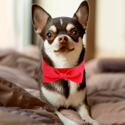 Segarty Dog Bow Ties for Small Medium Dogs Neck Girth 10.2-14.2in, Adjustable - Image 6