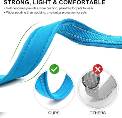 azuza Reflective Dog Collar, Soft Neoprene Padded Pet Collar - Image 3