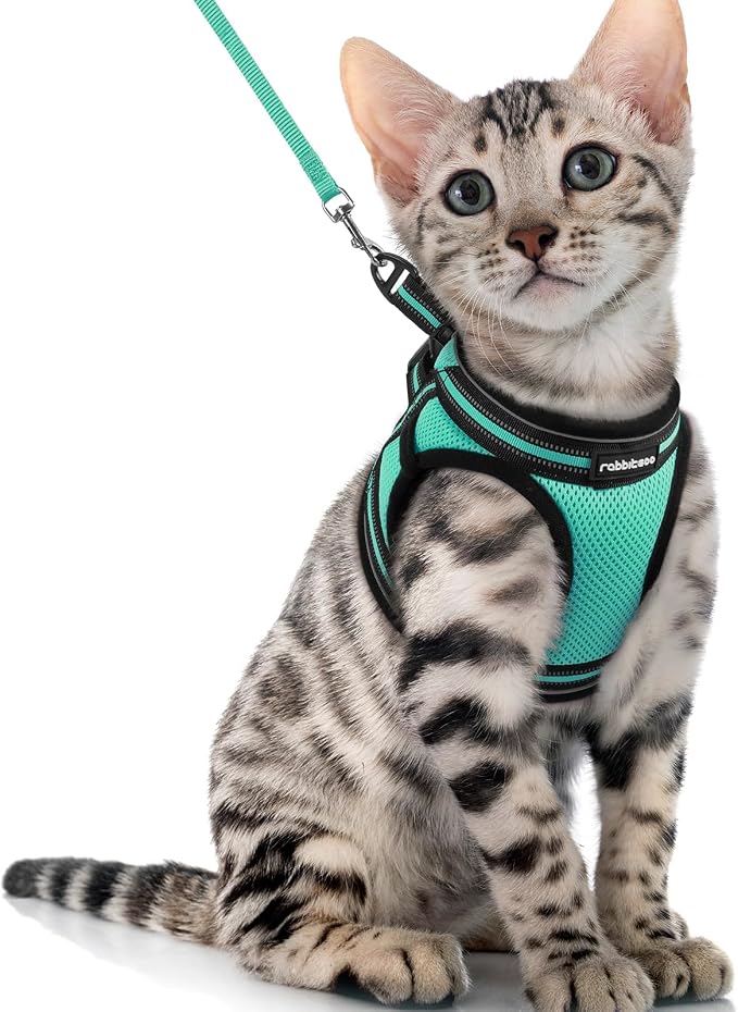 rabbitgoo Cat Harness and Leash Set by rabbitgoo