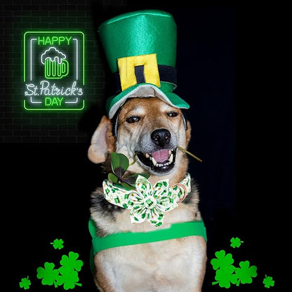 Lionheart glory St. Patrick's Day Dog Collar - Image 5