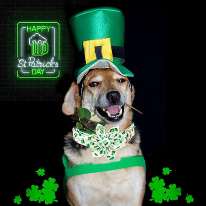 Lionheart glory St. Patrick's Day Dog Collar - Image 5