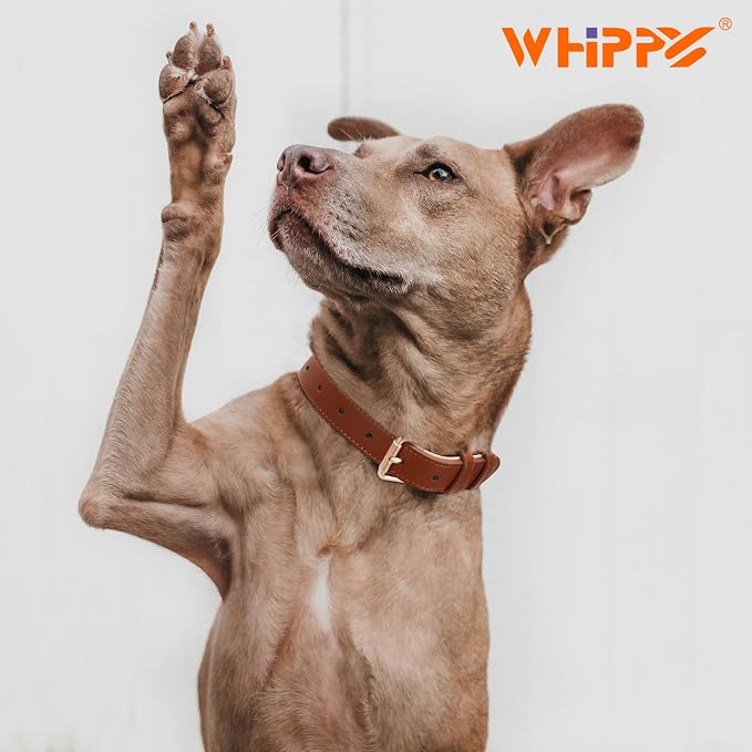 WHIPPY Leather Dog Collar for Small Medium Large Dog Adjustable Soft Breathable - Image 4