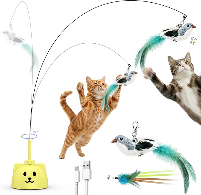 Interactive Cat Toys for Indoor Cats by Unknown