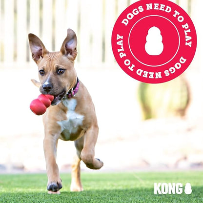 KONG Puppy - Natural Teething Rubber Chew Toy - Image 9