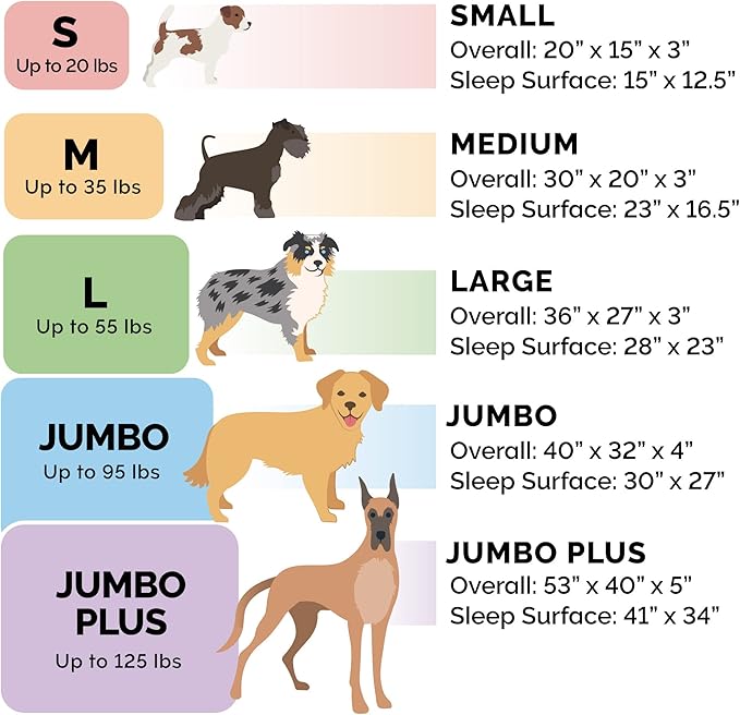 Furhaven Orthopedic Dog Bed for Medium/Small Dogs w/ Removable Bolsters & - Image 6