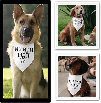 Engagement Gifts My DAD Asked! My MOM Said Yes! Dog Bandana Pet Scarf Wedding - Image 5